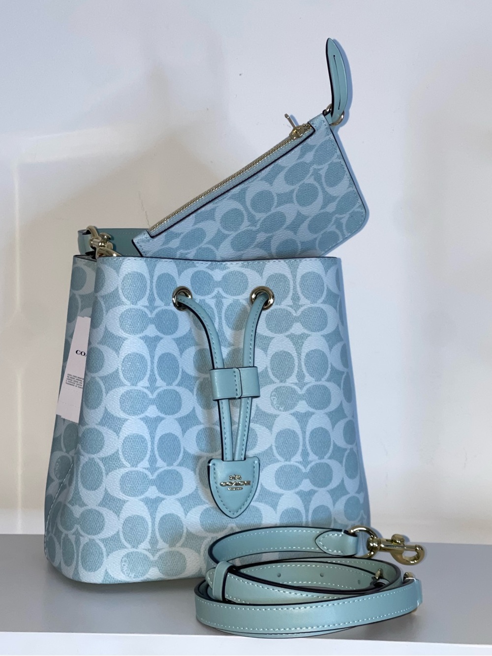 Coach Willow Blue Bucket Bag